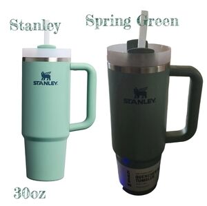 Stanley Spring Green 30oz Tumbler with Handle and Straw New